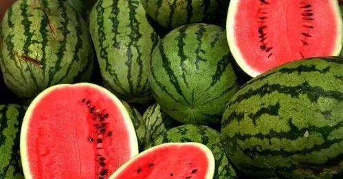 17今日大瓜 热门大瓜往期内容