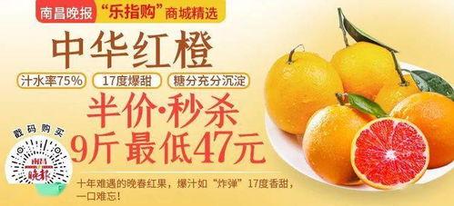 醇奶吊瓜今日价格表,醇奶吊瓜今日价格波动解析