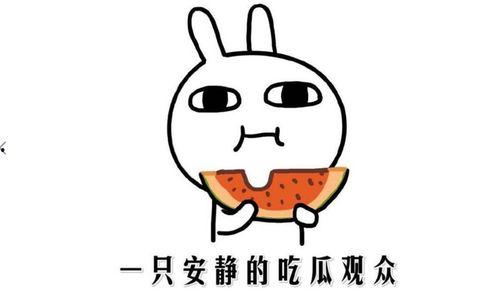 吃瓜热门黑料事件,吃瓜群众热议的神秘黑料事件全解析