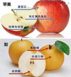 南宁今日吃瓜,街头巷尾新鲜事速递