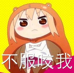 今日份小呆瓜图片大全大图,今日份小呆瓜图片大全大图集锦