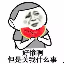 带你吃瓜奇葩武器黑科,带你探索带你吃瓜的奇葩武器世界