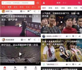 惠州今日吃瓜新闻视频最新,揭秘网红餐厅卫生问题引热议