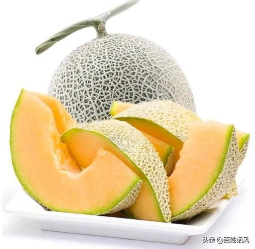 今日份吃哈密瓜水果文案,尽享果香四溢时光