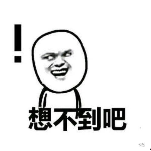 黑木炭瓜娃子可以吃吗,探究其安全性及食用价值