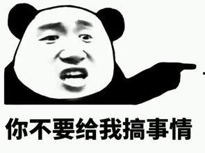 黑木炭瓜娃子可以吃吗,探究其安全性及食用价值