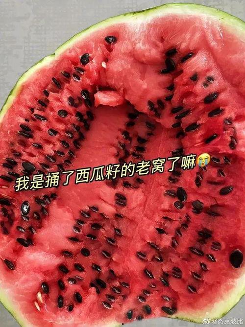 今日份的瓜都在这了