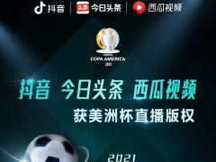今日头条卖瓜直播,趣味互动，瓜王争霸，直播带货新风尚