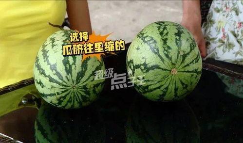 小圆瓜今日价格表最新,最新市场行情一览