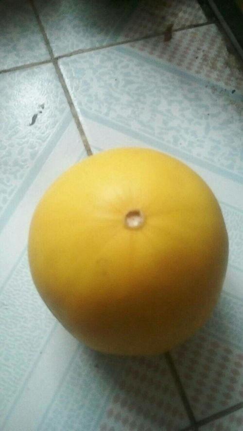 癫痫可以吃黑瓜,黑瓜助力健康生活
