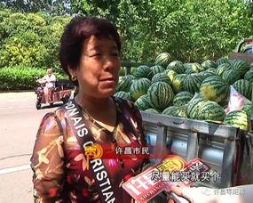 今日吃瓜缅北群众视频,吃瓜视频背后的故事