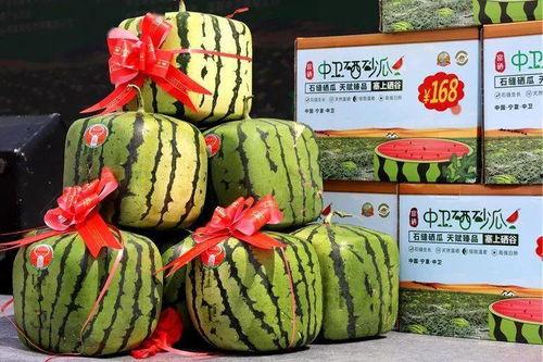 宁夏中卫硒砂瓜今日价,今日市场行情一览”
