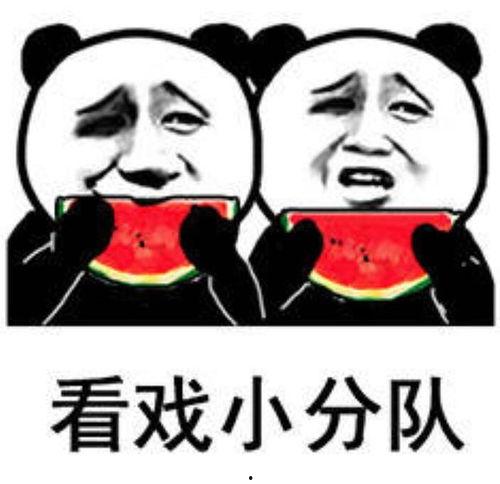 今日份吃瓜宅斗,今日瓜田宅斗风云录