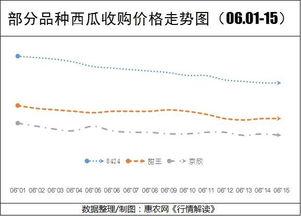 荷兰瓜今日价格行情走势,今日行情走势解析