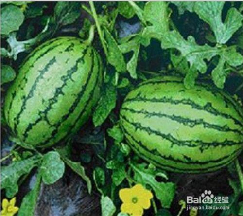 吃瓜网免费吃瓜黑料泄密,吃瓜网免费吃瓜黑料泄密，独家爆料娱乐圈幕后真相