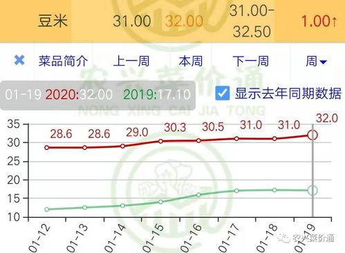 旱瓜今日价格行情走势,今日行情走势解析