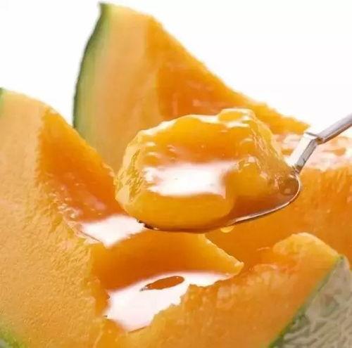 孕三个月可以吃黑蜜瓜,营养美味两不误的孕期美食推荐