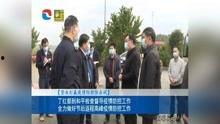 河源瓜仔今日新闻,瓜仔产业蓬勃发展，助力乡村振兴
