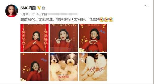 被吃瓜主播拉黑,揭秘网络舆论的复杂性