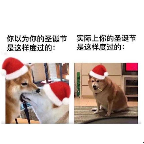 黑犬酱吃瓜,揭秘娱乐圈幕后真相