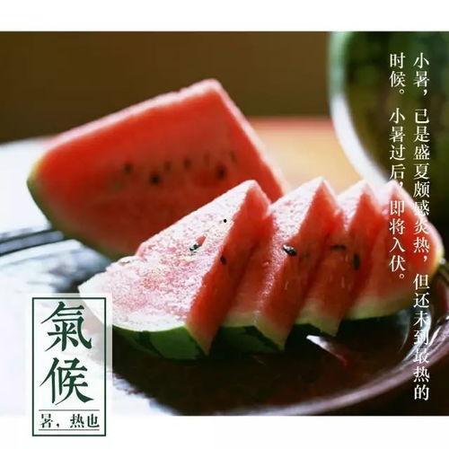 今日白瓜陕西价格,市场动态一览”