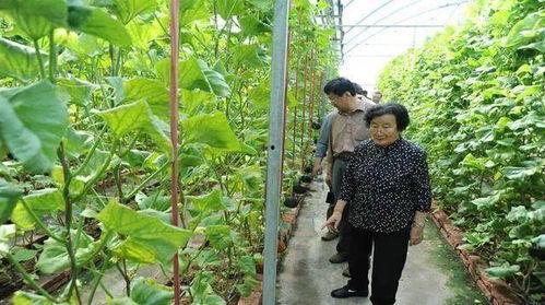 呱呱吃瓜曝光黑料是真的吗,真相揭秘