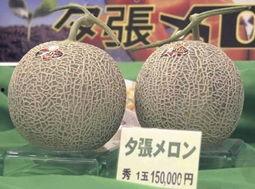 蜜瓜装车价格今日行情,价格波动解析