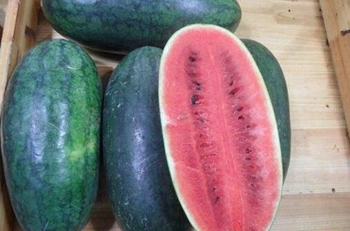 黑生物食堂吃瓜,揭秘神秘吃瓜背后的故事