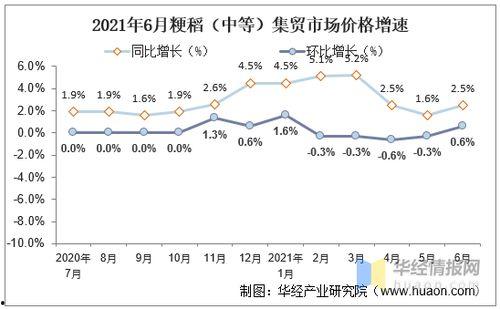 今日凉瓜价格行情走势,今日行情走势解析