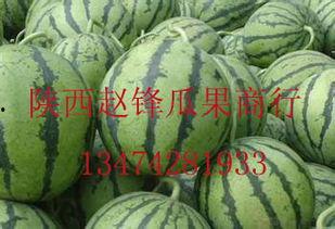 聊城哈密瓜今日批发价格,品质佳价优，瓜农笑开颜”