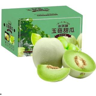 今日海南玉菇瓜价,市场行情一览