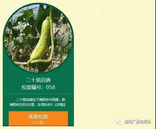 海阳白瓜今日价格,市场行情一览”