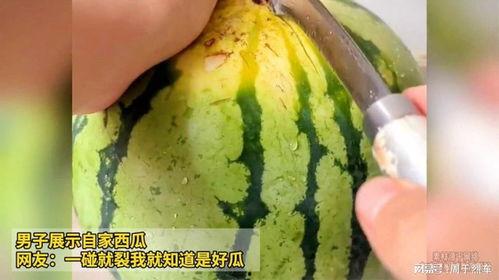 黑瓜乳腺癌可以吃吗好吗