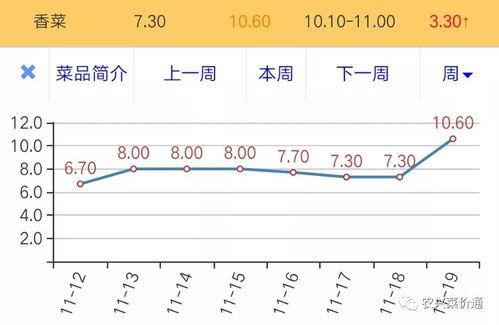 日本梅陇瓜今日价格走势