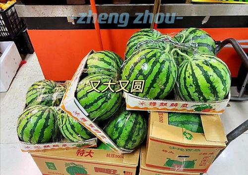 郑州今日吃瓜最新消息,揭秘最新热点事件背后的真相