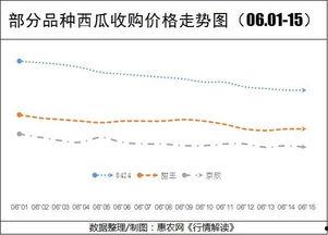 今日旱瓜价格行情走势,今日行情走势解析