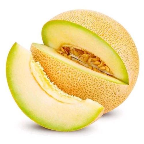 今日兰州哈密瓜多少钱,新鲜美味尽享实惠”