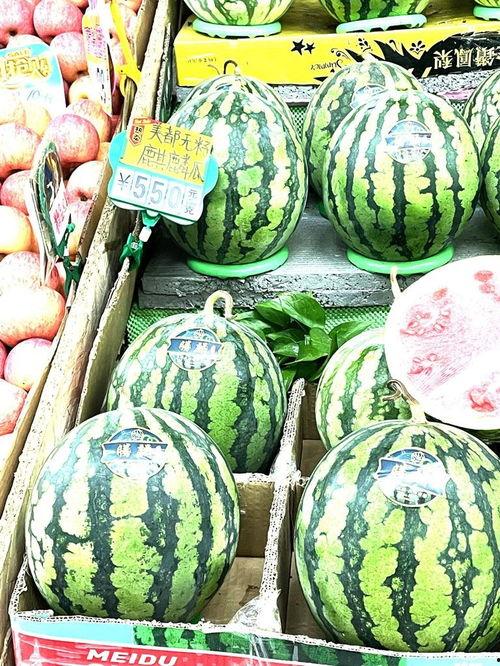 甘肃产地麒麟瓜今日价格,价格行情一览”