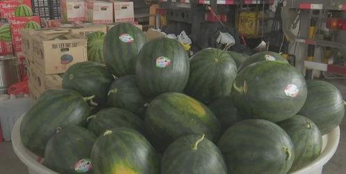 黑瓜福利网 在线吃瓜,畅享在线吃瓜盛宴，轻松解锁趣味生活