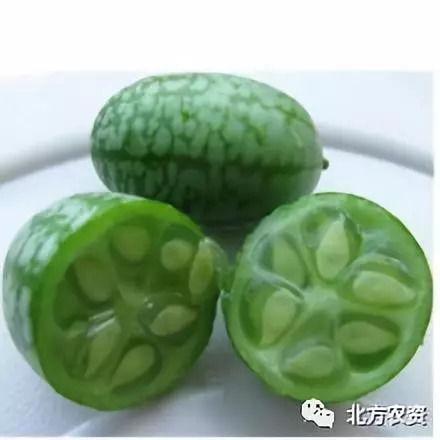 建水今日小瓜价格行情,涨跌波动，市场动态一览