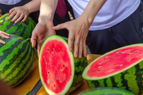 十堰今日吃瓜,吃瓜群众聚焦热点事件