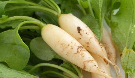 每日大赛吃瓜黑料更新真实,揭秘幕后黑料，真相大起底！