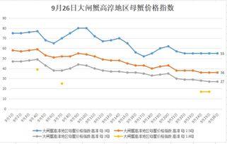 小瓜今日行情分析最新,洞察市场脉搏，把握投资新动向