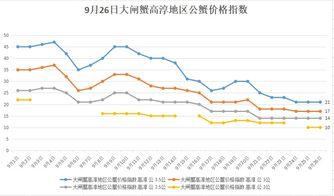 小瓜今日行情分析最新,洞察市场脉搏，把握投资新动向