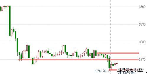 小瓜今日行情分析最新,洞察市场脉搏，把握投资新动向