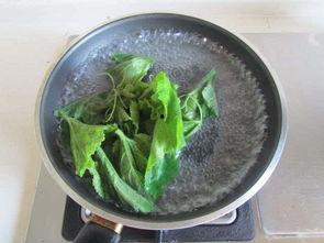 黑瓜叶怎么吃效果最好