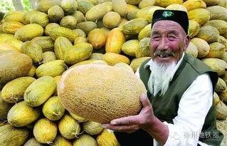 郑州万邦哈密瓜今日价格,价格行情一览