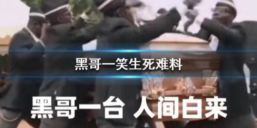 黑哥吃瓜群群号,揭秘神秘社交圈背后的故事