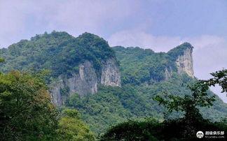 黑木崖吃瓜,揭秘神秘组织内部吃瓜盛况