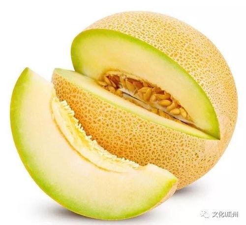 今日瓜州哈密瓜价,品质佳受热捧